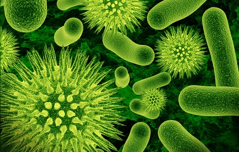Microbes